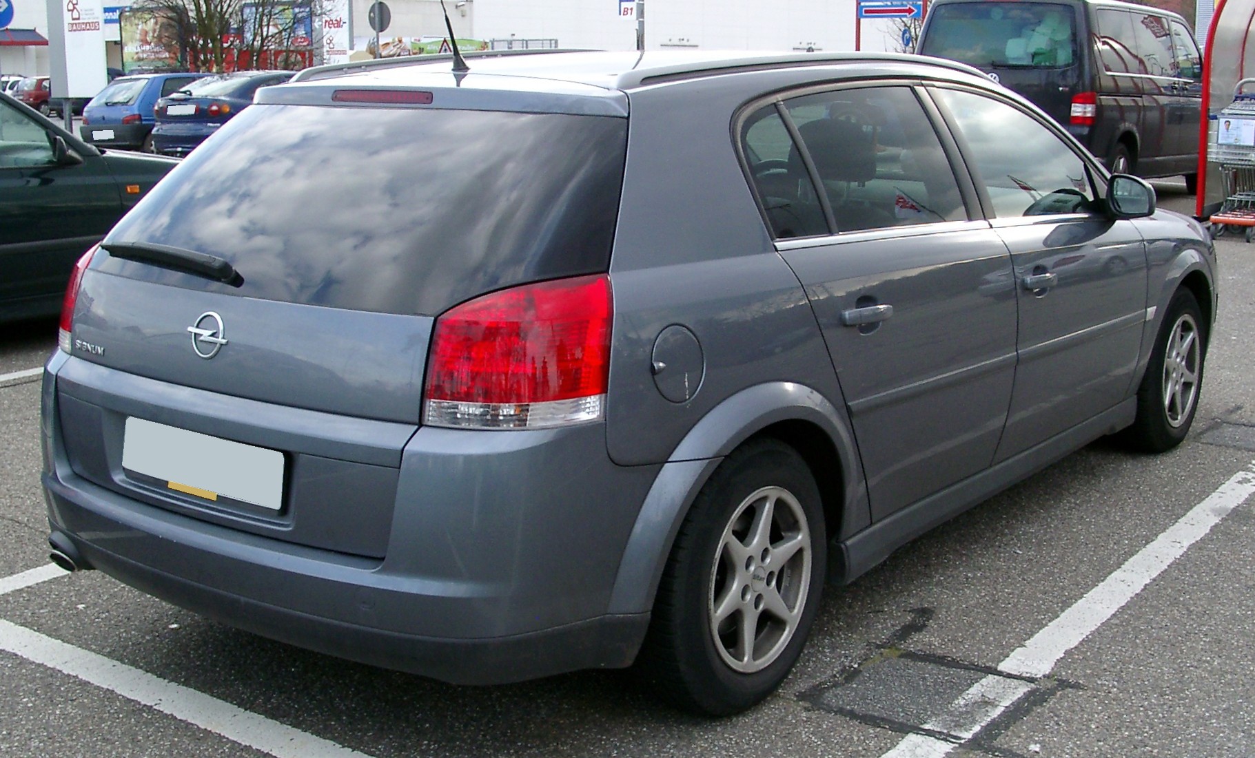 Opel Signum: 11 фото