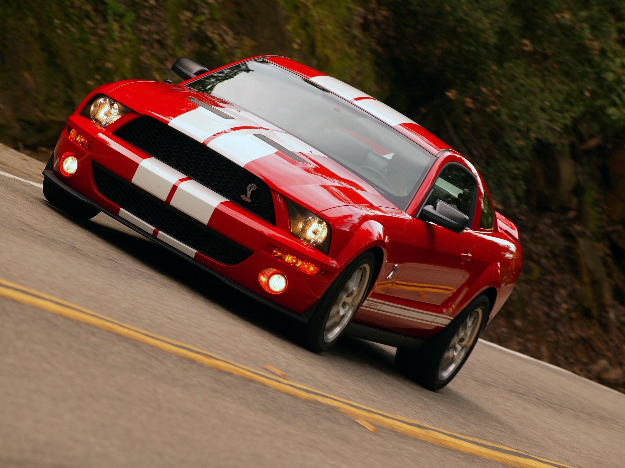 Ford Shelby GT 500: 6 фото