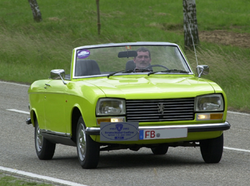 Peugeot 304