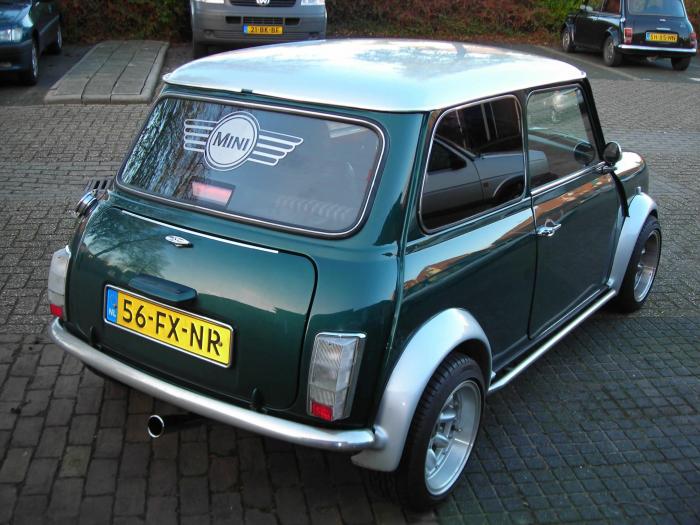 Rover Mini: 10 фото